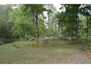 Pond in Dekalb County, Indiana - MAJOR LAND AUCTION - 516+/- ACRES OFFERED IN 18 TRACTS OR COMBINATIONS IN DEKALB COUNTY, INDIANA
